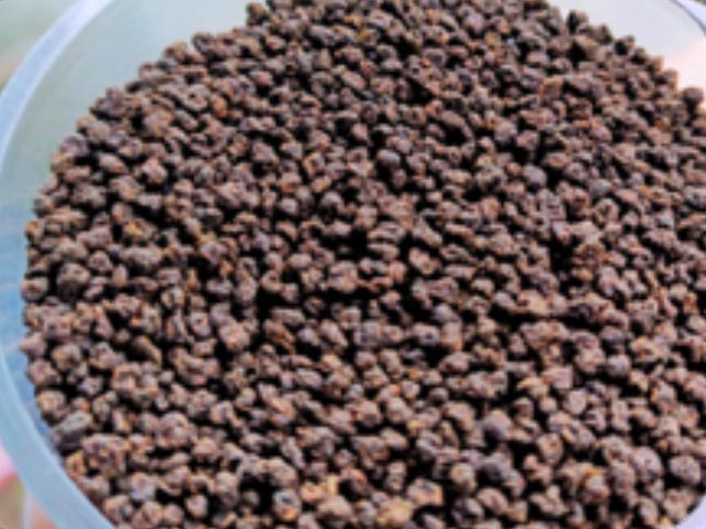 Assam Tea