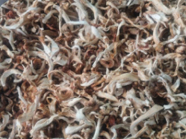 Dried Oyster Mushroom