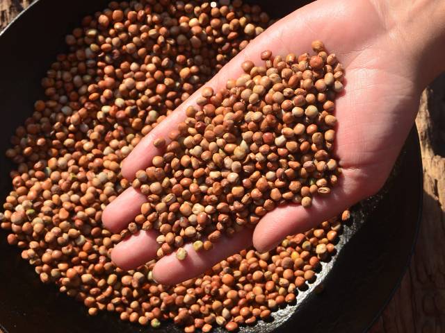 Pahadi Tor Daal